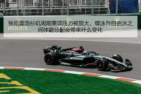 zhang-yu-fei-luo-shan-ji-zhou-qi-jian-xiang-ya-li-bei-fang-da-die-yong-yu-zi-you-yong-zhi-jian-ti-neng-fen-pei-hui-dai-3-541.jpg